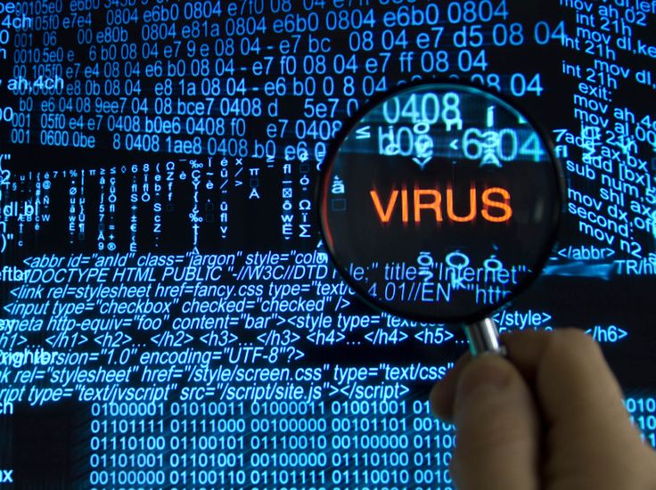 Malware là gì? Cách nào để ngăn chặn chúng? 1 virus-malware-la-gi