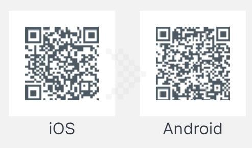 Synology WRX560 WI-FI6 10